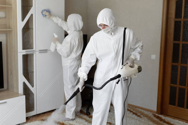 Best Attic Mold Removal  in Twin Grove, IL