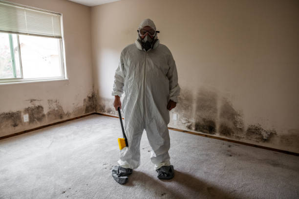 Best Crawl Space Mold Removal  in Twin Grove, IL
